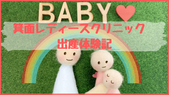 箕面レディースクリニックでの出産体験記の表紙