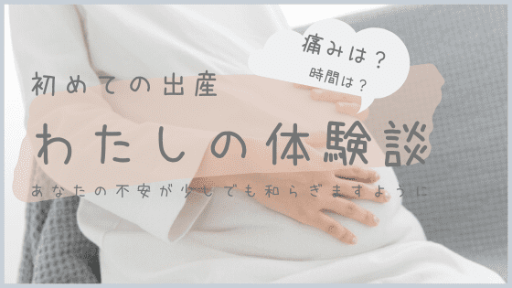 体験記